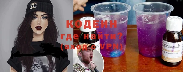 spice Ельня