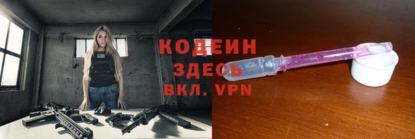 spice Ельня