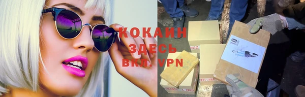 стаф Покачи