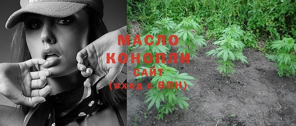 spice Ельня