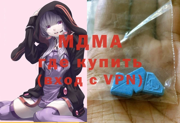 spice Ельня