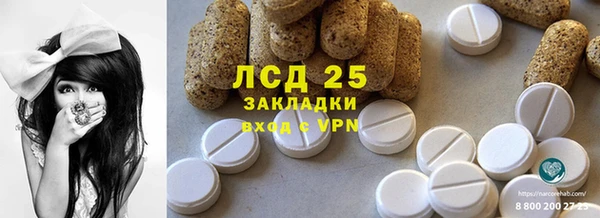 spice Ельня