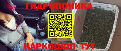 герыч Лесосибирск