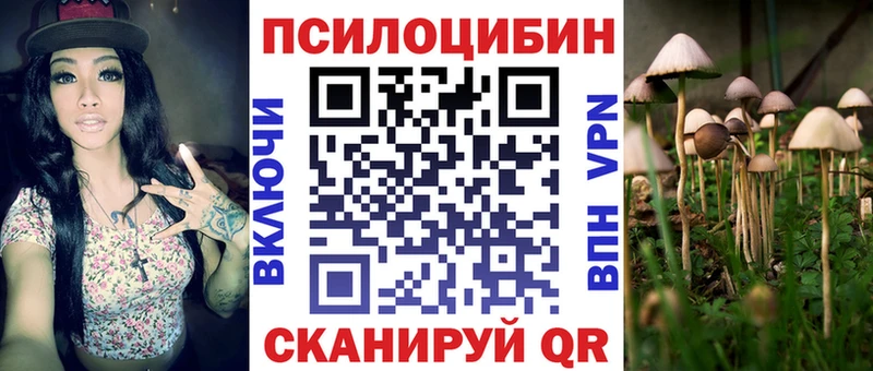 продажа наркотиков  Кизляр  Псилоцибиновые грибы Cubensis 