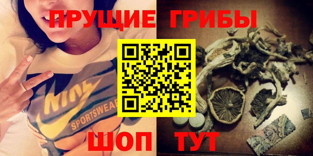 Галлюциногенные грибы мицелий  Вход с VPN  цены   Кизляр 